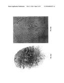 MULTI-VIEW FINGERPRINT MATCHING diagram and image