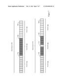 ACCELERATING TRANSFER PROTOCOLS diagram and image