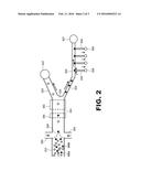 HIGH-THROUGHPUT SINGLE-CELL IMAGING, SORTING, AND ISOLATION diagram and image