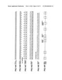 IMAGING APPARATUS diagram and image