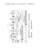 SIGNAL TRANSMISSION/RECEPTION METHOD AND APPARATUS OF D2D TERMINAL diagram and image