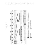 SIGNAL TRANSMISSION/RECEPTION METHOD AND APPARATUS OF D2D TERMINAL diagram and image