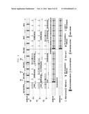 SIGNAL TRANSMISSION/RECEPTION METHOD AND APPARATUS OF D2D TERMINAL diagram and image