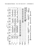 SIGNAL TRANSMISSION/RECEPTION METHOD AND APPARATUS OF D2D TERMINAL diagram and image