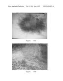 LIGHTNING STRIKE AND ELECTROMAGNETIC PROTECTION SYSTEM diagram and image