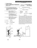 PLANT CULTIVATION SYSTEM, PLANT CULTIVATION METHOD USING THE PLANT     CULTIVATION SYSTEM AND PRODUCTION METHOD FOR THE PLANT CULTIVATION SYSTEM diagram and image