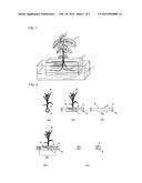 PLANT CULTIVATION SYSTEM, PLANT CULTIVATION METHOD USING THE PLANT     CULTIVATION SYSTEM AND PRODUCTION METHOD FOR THE PLANT CULTIVATION SYSTEM diagram and image