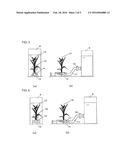 PLANT CULTIVATION SYSTEM, PLANT CULTIVATION METHOD USING THE PLANT     CULTIVATION SYSTEM AND PRODUCTION METHOD FOR THE PLANT CULTIVATION SYSTEM diagram and image