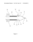 METHODS, DEVICES AND SYSTEMS FOR IMPROVED HYGIENE DURING ENDOSCOPIC     PROCEDURES diagram and image