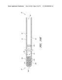 IMPLANTS WITH CONTROLLED DRUG DELIVERY FEATURES AND METHODS OF USING SAME diagram and image