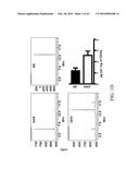 EDIBLE PLANT-DERIVED MICROVESICLE COMPOSITIONS INCLUDING CONJUGATED     THERAPEUTIC AGENTS AND METHODS FOR USING THE SAME diagram and image