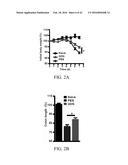 EDIBLE PLANT-DERIVED MICROVESICLE COMPOSITIONS INCLUDING CONJUGATED     THERAPEUTIC AGENTS AND METHODS FOR USING THE SAME diagram and image