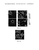 EDIBLE PLANT-DERIVED MICROVESICLE COMPOSITIONS INCLUDING CONJUGATED     THERAPEUTIC AGENTS AND METHODS FOR USING THE SAME diagram and image