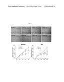 PHARMACEUTICAL FORMULATION FOR USE IN THE TREATMENT AND/OR PREVENTION OF     RESTENOSIS diagram and image