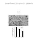 PHARMACEUTICAL FORMULATION FOR USE IN THE TREATMENT AND/OR PREVENTION OF     RESTENOSIS diagram and image