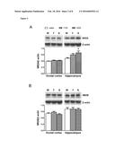 GALACTOOLIGOSACCHARIDE COMPOSITION FOR USE IN PREVENTING OR TREATING     COGNITIVE DYSFUNCTION AND EMOTIONAL DISTURBANCES IN NEUROPSYCHIATRY     ILLNESSES OR AGEING diagram and image