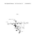 Meningococcal vaccine based on lipooligosaccharide (LOS) originating from     modified Neisseria meningitidis strains of immunotype L6 diagram and image