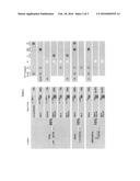 Meningococcal vaccine based on lipooligosaccharide (LOS) originating from     modified Neisseria meningitidis strains of immunotype L6 diagram and image