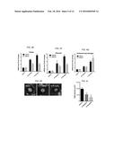 INHIBITION OF CHOROIDAL NEOVASCULARIZATION diagram and image