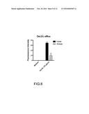 INHIBITION OF CHOROIDAL NEOVASCULARIZATION diagram and image