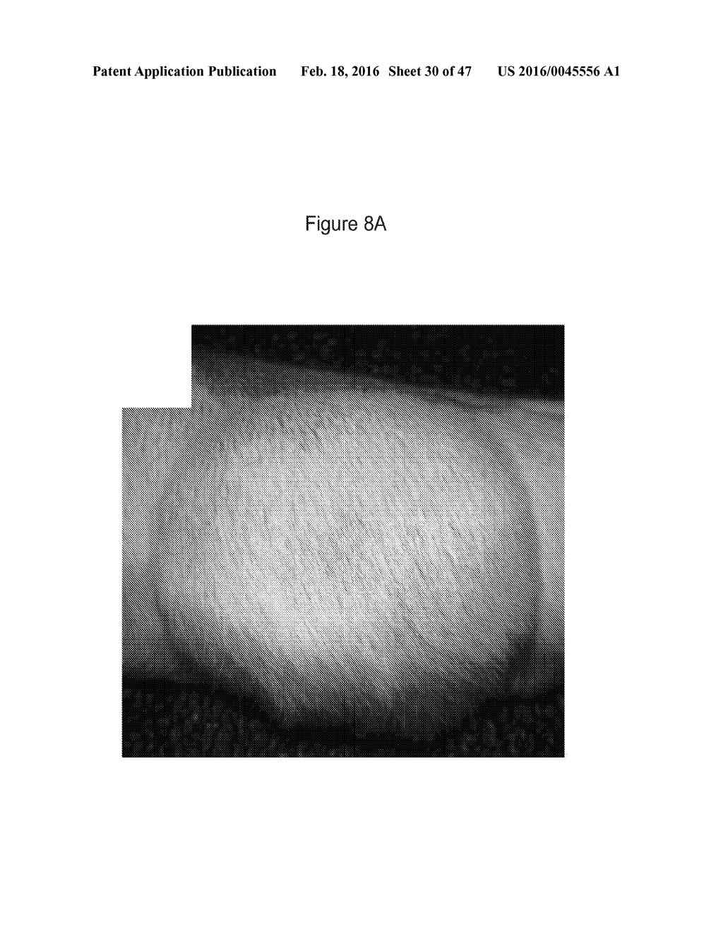 C. NOVYI FOR THE TREATMENT OF SOLID TUMORS IN NON-HUMAN ANIMALS - diagram, schematic, and image 31