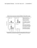 Foot and Mouth Disease Virus (FMDV) Consensus Proteins, Coding Sequences     Therefor and Vaccines Made Therefrom diagram and image