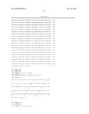 Foot and Mouth Disease Virus (FMDV) Consensus Proteins, Coding Sequences     Therefor and Vaccines Made Therefrom diagram and image