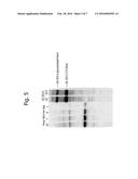 COMPOSITIONS AND METHODS FOR THE TREATMENT OR PREVENTION OF HUMAN     IMMUNODEFICIENCY VIRUS INFECTION diagram and image