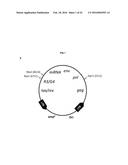 VACCINE AGAINST BOVINE LEUKEMIA VIRUS diagram and image