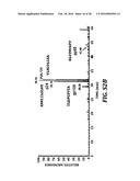 DIRECTED IMMUNE STIMULATION diagram and image