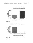 Nanoparticles, Composed of Sterol and Saponin From Quillaja Saponaria     Molina Process for Preparation and Use Thereof as Carrier for Amphipatic     of Hydrophobic Molecules in Fields of Medicine Including Cancer Treatment     and Food Related Compounds diagram and image