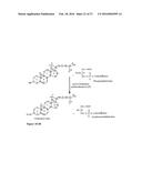 Nanoparticles, Composed of Sterol and Saponin From Quillaja Saponaria     Molina Process for Preparation and Use Thereof as Carrier for Amphipatic     of Hydrophobic Molecules in Fields of Medicine Including Cancer Treatment     and Food Related Compounds diagram and image