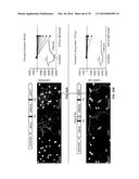 DEVICES, SYSTEMS AND METHODS FOR OPTOGENETIC MODULATION OF ACTION     POTENTIALS IN TARGET CELLS diagram and image