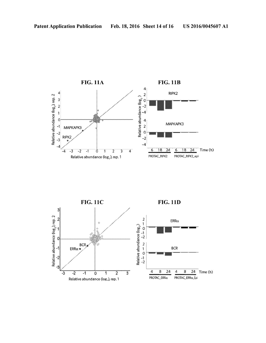 ESTROGEN-RELATED RECEPTOR ALPHA BASED PROTAC COMPOUNDS AND ASSOCIATED     METHODS OF USE - diagram, schematic, and image 15