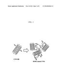 CARBON NANOTUBE COMPOSITE AND METHOD OF MANUFACTURING THE SAME diagram and image