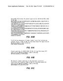 SYSTEM AND METHOD FOR OPTOGENETIC THERAPY diagram and image