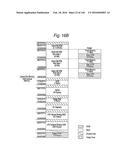 PORTABLE DISPLAY SYSTEM diagram and image