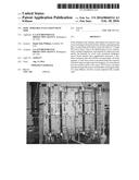 PEPS - PORTABLE EVALUATION PILOT SKID diagram and image