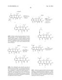 SUBSTITUTED TETRACYCLINE COMPOUNDS diagram and image