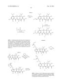 SUBSTITUTED TETRACYCLINE COMPOUNDS diagram and image