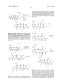 SUBSTITUTED TETRACYCLINE COMPOUNDS diagram and image