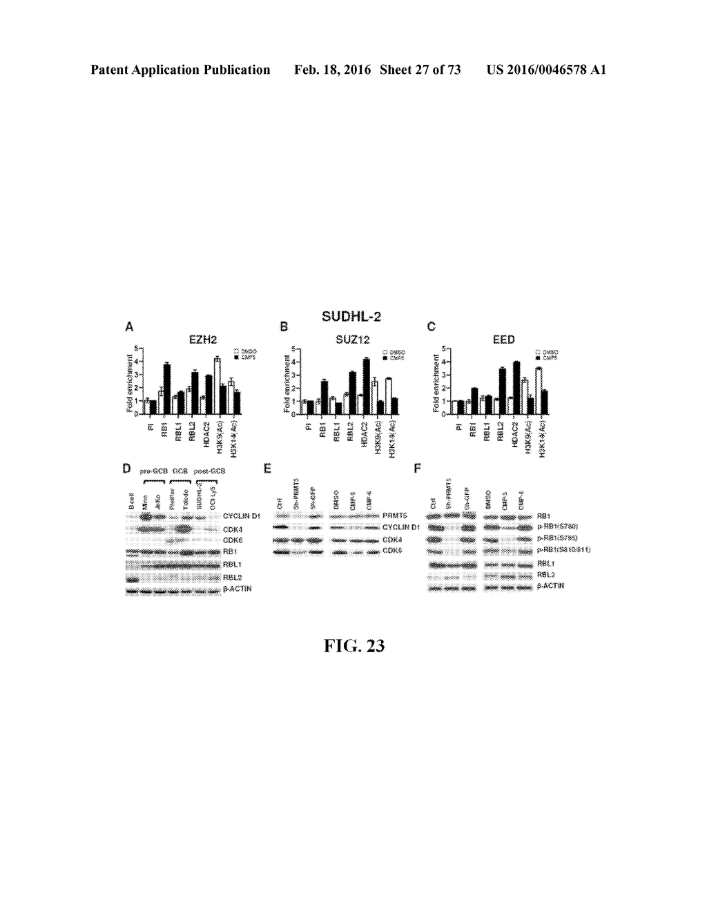 INHIBITORS OF PRMT5 AND METHODS OF THEIR USE - diagram, schematic, and image 28