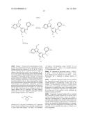 HETEROARYL SUBSTITUTED INDAZOLES diagram and image