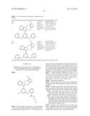 HETEROARYL SUBSTITUTED INDAZOLES diagram and image