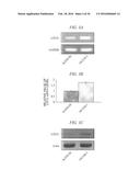 Method for Inhibiting Proliferation of High Lix1I-Expressing Tumor Cell,     and Tumor Cell Proliferation-Inhibiting Peptide diagram and image