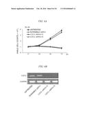 Method for Inhibiting Proliferation of High Lix1I-Expressing Tumor Cell,     and Tumor Cell Proliferation-Inhibiting Peptide diagram and image