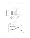 Method for Inhibiting Proliferation of High Lix1I-Expressing Tumor Cell,     and Tumor Cell Proliferation-Inhibiting Peptide diagram and image