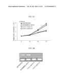 Method for Inhibiting Proliferation of High Lix1I-Expressing Tumor Cell,     and Tumor Cell Proliferation-Inhibiting Peptide diagram and image