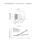 Method for Inhibiting Proliferation of High Lix1I-Expressing Tumor Cell,     and Tumor Cell Proliferation-Inhibiting Peptide diagram and image