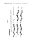 Method for Inhibiting Proliferation of High Lix1I-Expressing Tumor Cell,     and Tumor Cell Proliferation-Inhibiting Peptide diagram and image